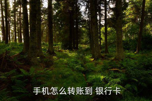  手機怎么轉(zhuǎn)賬到 銀行卡