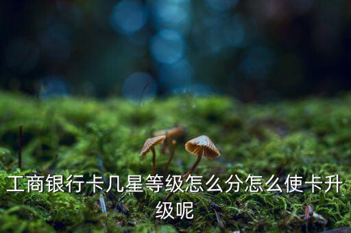 工商銀行卡幾星等級怎么分怎么使卡升級呢