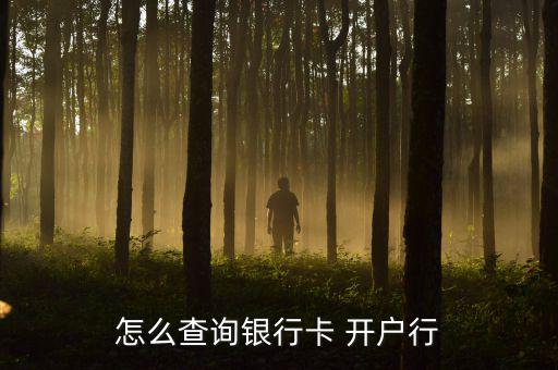 怎么查詢銀行卡 開(kāi)戶行
