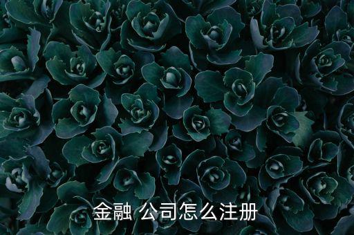 貸后催收管理公司怎么注冊,公司變更事項登記機關換發(fā)營業(yè)執(zhí)照