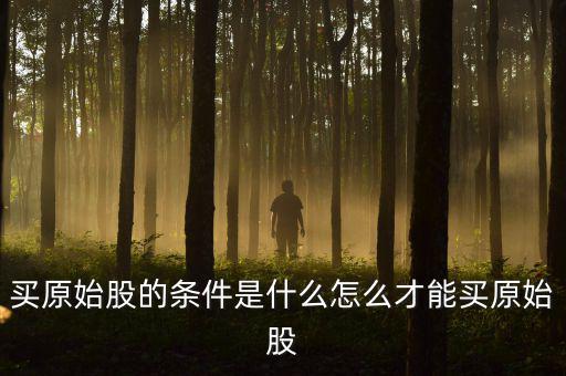 買(mǎi)原始股的條件是什么怎么才能買(mǎi)原始股