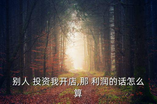 別人 投資我開店,那 利潤的話怎么算