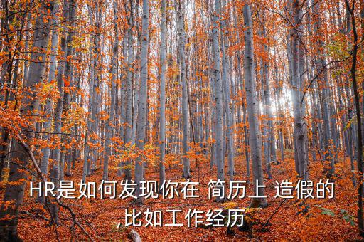 簡歷造假怎么逃過背景調查,簡歷造假千萬不要做背景調查