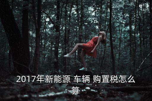 2017年新能源 車輛 購置稅怎么算