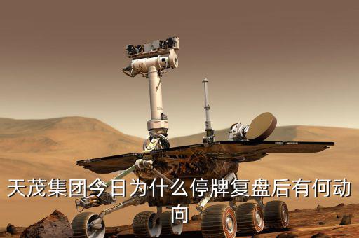 天茂集團(tuán)什么時(shí)候開盤，天茂集團(tuán)今日為什么停牌復(fù)盤后有何動(dòng)向