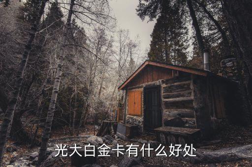 光大微稅聯白金卡有什么好處，光大銀行白金卡的好處我提供本人的100平以上的房產證和作為法人