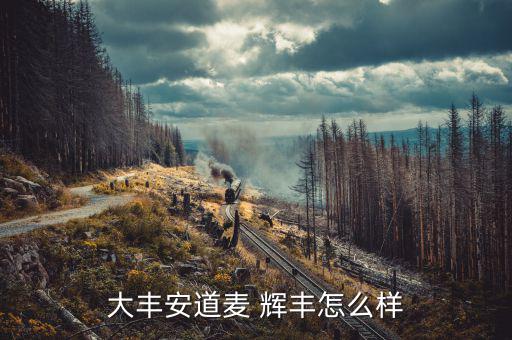 大豐安道麥 輝豐怎么樣