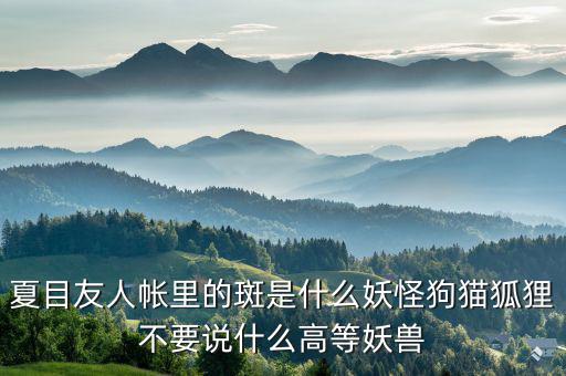 什么是棄風(fēng)限電，什么是理想非極化電極