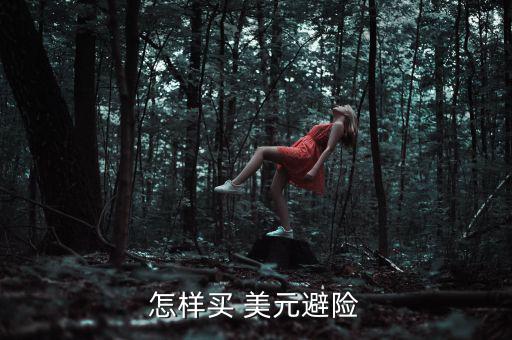 怎樣買 美元避險