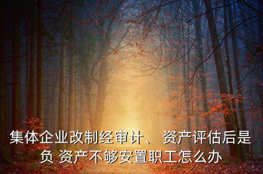 集體企業(yè)改制經(jīng)審計(jì)、 資產(chǎn)評(píng)估后是負(fù) 資產(chǎn)不夠安置職工怎么辦