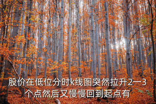 低位反彈之后加速拉升什么情況，股價在低位分時k線圖突然拉升2一3個點然后又慢慢回到起點有
