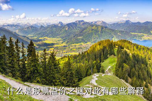 股票溢價是什么意思，什么是股票溢價之謎對此有哪些解釋