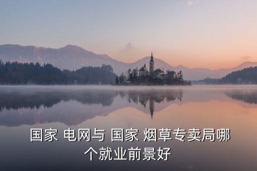  國(guó)家 電網(wǎng)與 國(guó)家 煙草專賣局哪個(gè)就業(yè)前景好