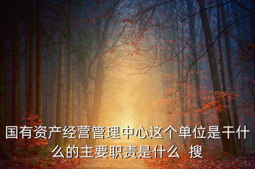國有資產(chǎn)經(jīng)營管理中心這個單位是干什么的主要職責是什么  搜