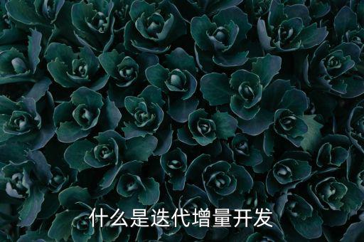 什么是增量發(fā)展，物理意義上的增量是什么意思