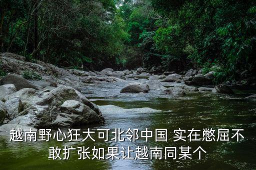 越南為什么那么狂，越南野心狂大可北鄰中國 實(shí)在憋屈不敢擴(kuò)張如果讓越南同某個(gè)