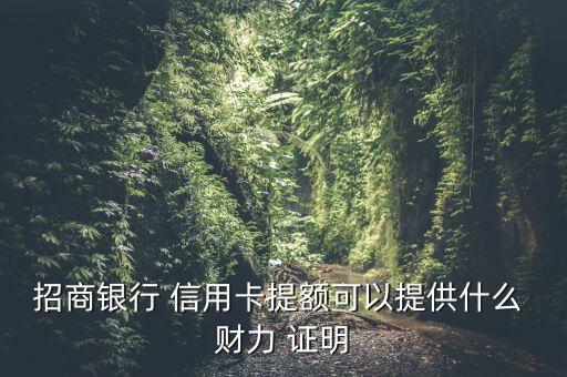 招商銀行 信用卡提額可以提供什么 財(cái)力 證明
