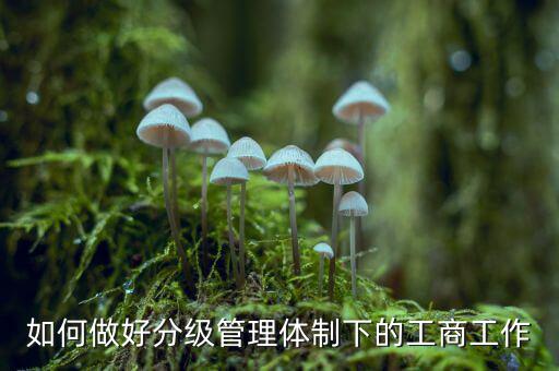什么是分層分級管理，如何做好分級管理體制下的工商工作