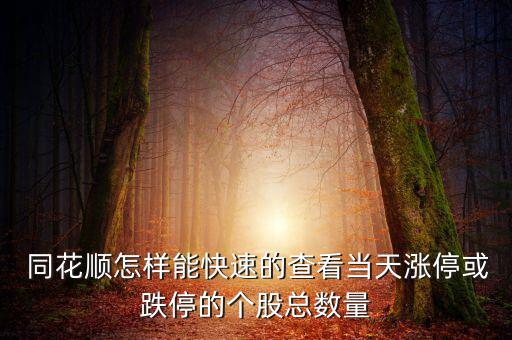  同花順怎樣能快速的查看當(dāng)天漲?；虻５膫€(gè)股總數(shù)量