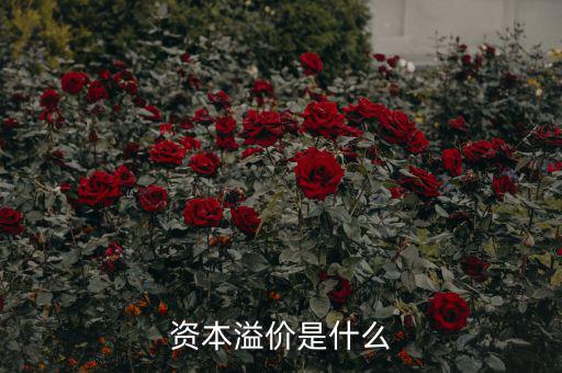什么是溢價，什么是資本溢價