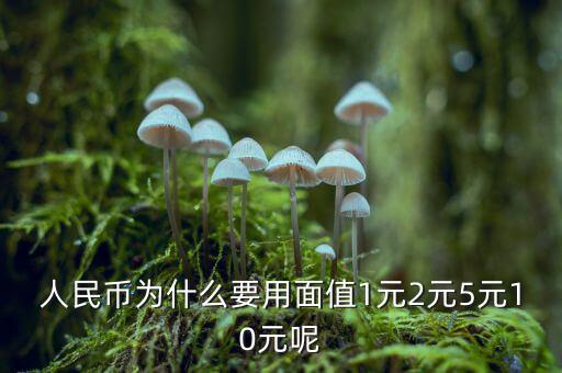 為什么人民幣面值，人民幣為什么要用面值1元2元5元10元呢