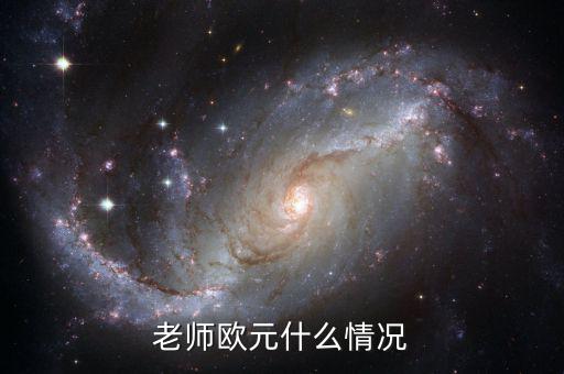 歐元國(guó)家是什么意思，老師歐元什么情況