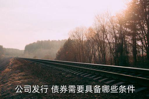 公司怎么發(fā)債券,中華人民共和國第一百五十三條公司債券法律