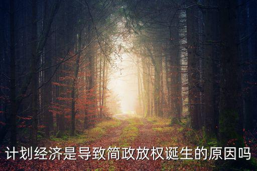 計(jì)劃經(jīng)濟(jì)是導(dǎo)致簡(jiǎn)政放權(quán)誕生的原因嗎