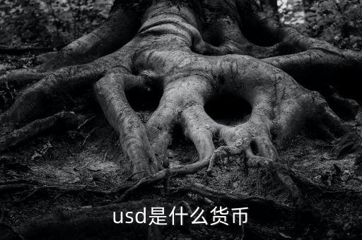usd什么貨幣，什么是USD