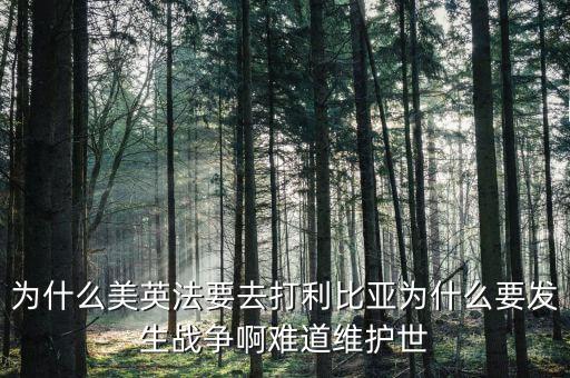 為什么美英法要去打利比亞為什么要發(fā)生戰(zhàn)爭啊難道維護(hù)世