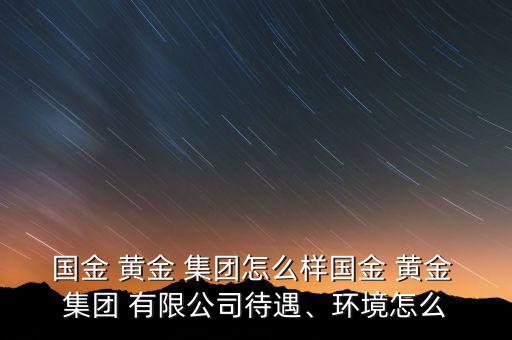 國(guó)金 黃金 集團(tuán)怎么樣國(guó)金 黃金 集團(tuán) 有限公司待遇、環(huán)境怎么
