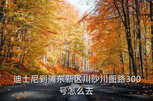 迪士尼到浦東新區(qū)川沙川圖路300號怎么去