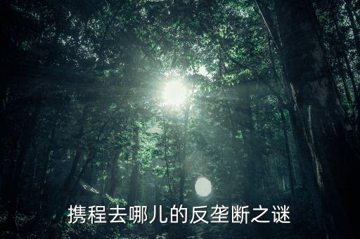 梁建章為什么離開攜程，攜程老板梁建章對公司的投訴難道只會說抱歉嗎這簡直有死