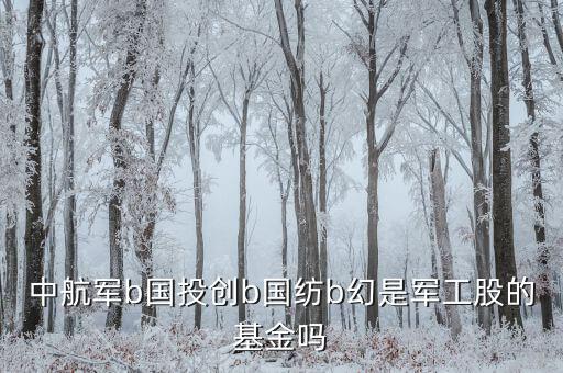 國創(chuàng)投b是什么基金，請教創(chuàng)業(yè)b是私募基金嗎屬于清盤對象嗎