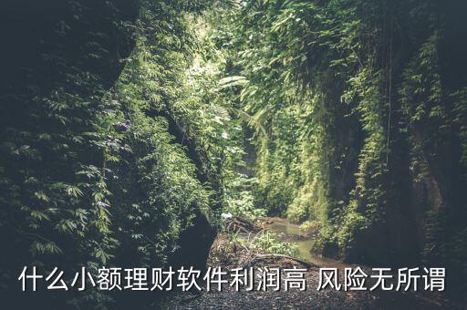 什么小額理財(cái)最安全，什么小額理財(cái)軟件利潤(rùn)高 風(fēng)險(xiǎn)無(wú)所謂