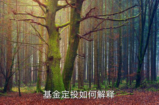 定投是什么，什么是定投基金