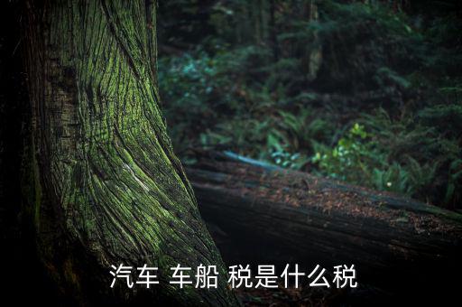 汽車車船稅是怎么樣,車船稅是對車輛、船舶征收的稅