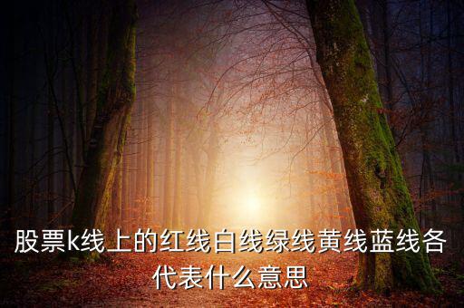 地圖綠線紅線代表什么，手機百度地圖路線中有紅色綠色藍色等不同的顏色代表什么