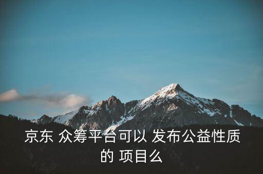  京東 眾籌平臺可以 發(fā)布公益性質(zhì)的 項目么