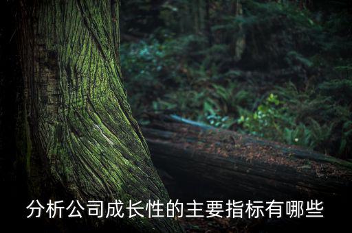 分析公司成長性的主要指標(biāo)有哪些