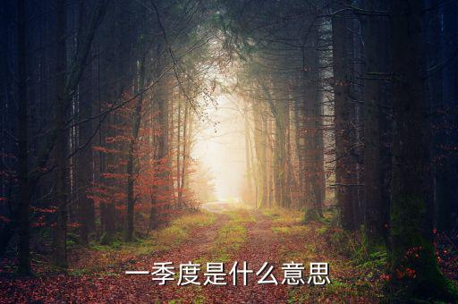 每一季度是什么意思，每季度什么意思