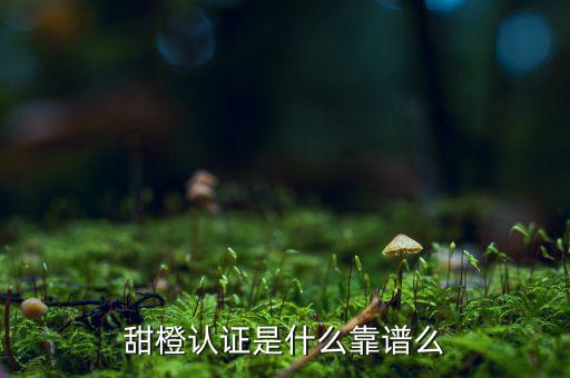 甜橙金融公司是什么，便捷的網(wǎng)貸理財(cái)企業(yè)是什么