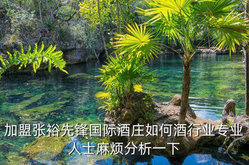 加盟張?jiān)Ｏ蠕h國際酒莊如何酒行業(yè)專業(yè)人士麻煩分析一下