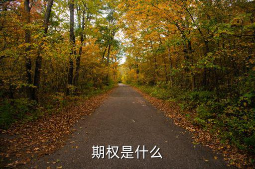 股票期權(quán)是什么，期權(quán)和股權(quán)有什么本質(zhì)區(qū)別嗎