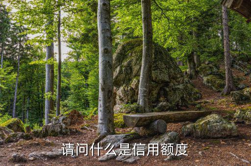信用額度是什么意思，信用額度是什么意思