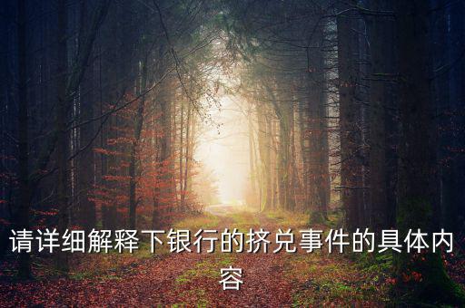 請?jiān)敿?xì)解釋下銀行的擠兌事件的具體內(nèi)容