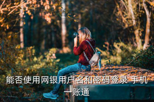 能否使用網(wǎng)銀用戶名和密碼登錄 手機(jī)一賬通