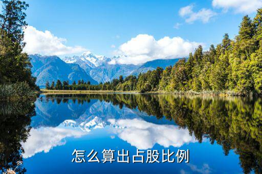 持股數怎么算,新股東的股份比例由股東協商決定