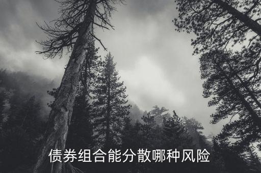 債券組合能分散哪種風險