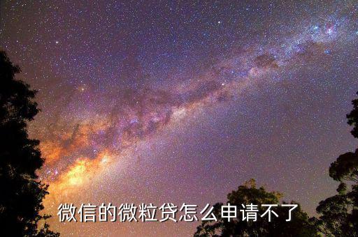 微信的微粒貸怎么申請(qǐng)不了